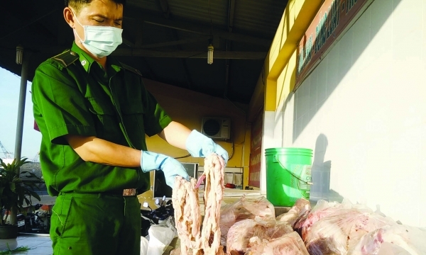 Bắt giữ gần 5 tấn thịt heo bốc mùi hôi thối tại Bình Dương